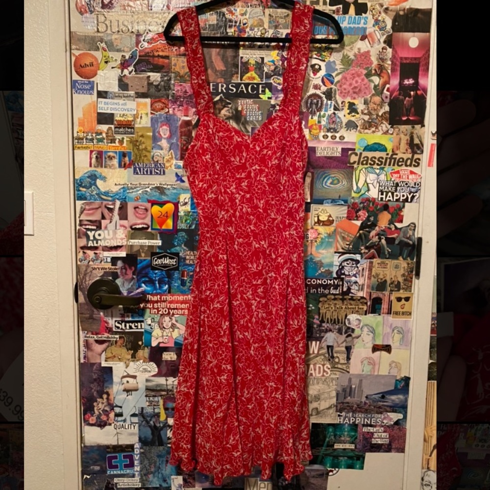 Red Patterned Dress Barn Dress